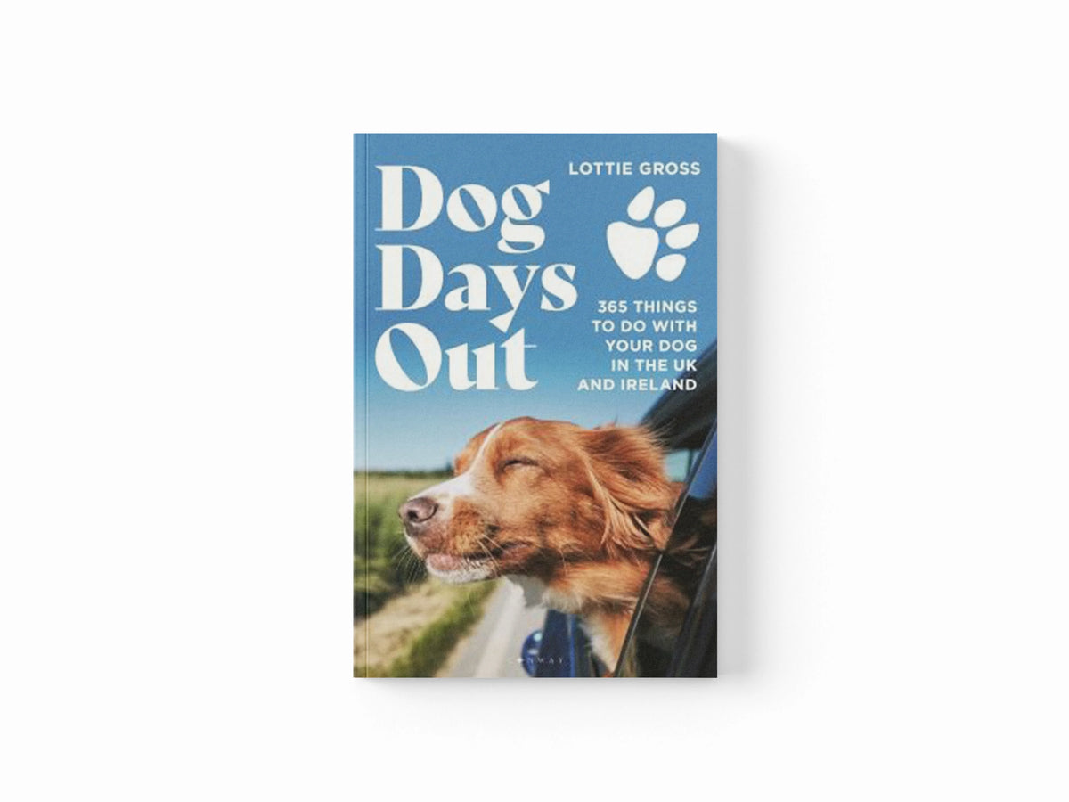 Dog Days Out by Lottie Gross; 9781844866502