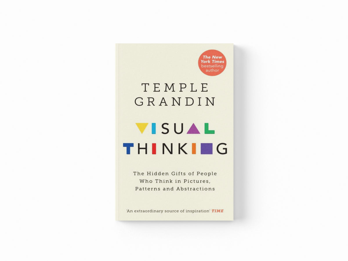 Visual Thinking
