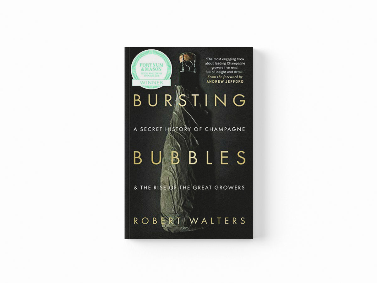 Bursting Bubbles by Robert Walters; 9781846892790