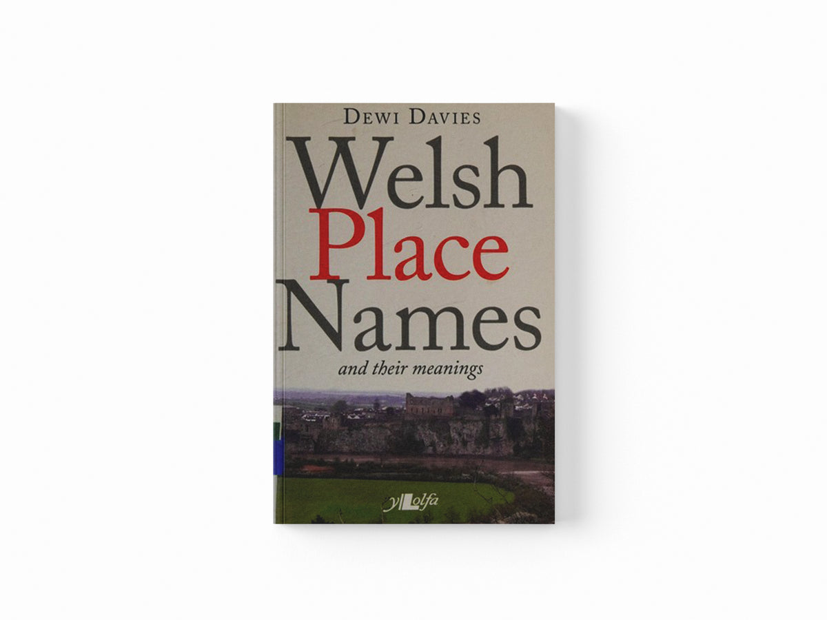 Welsh Place Names and Their Meanings by Dewi Davies; 9781847713131