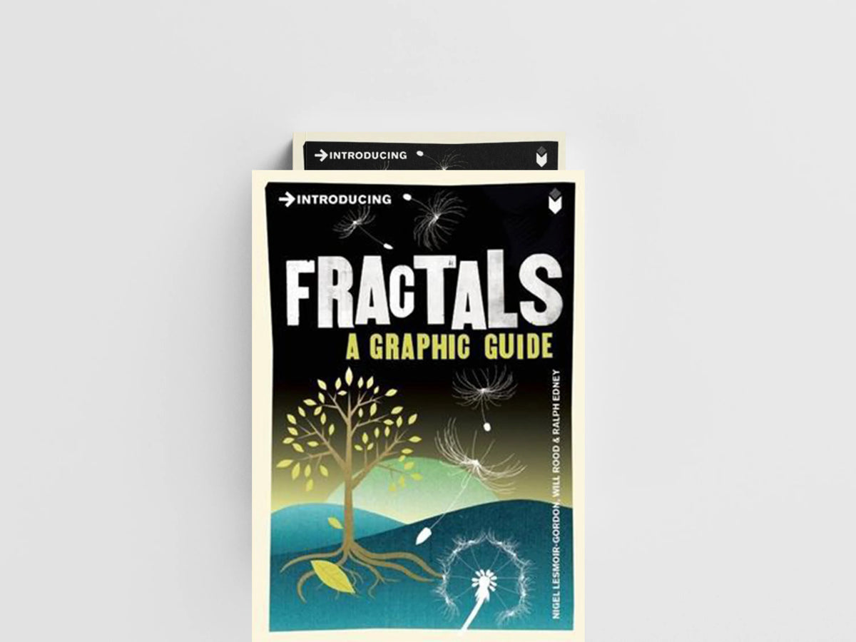 Introducing Fractals by Nigel Lesmoir-Gordon; Will Rood; 9781848310872