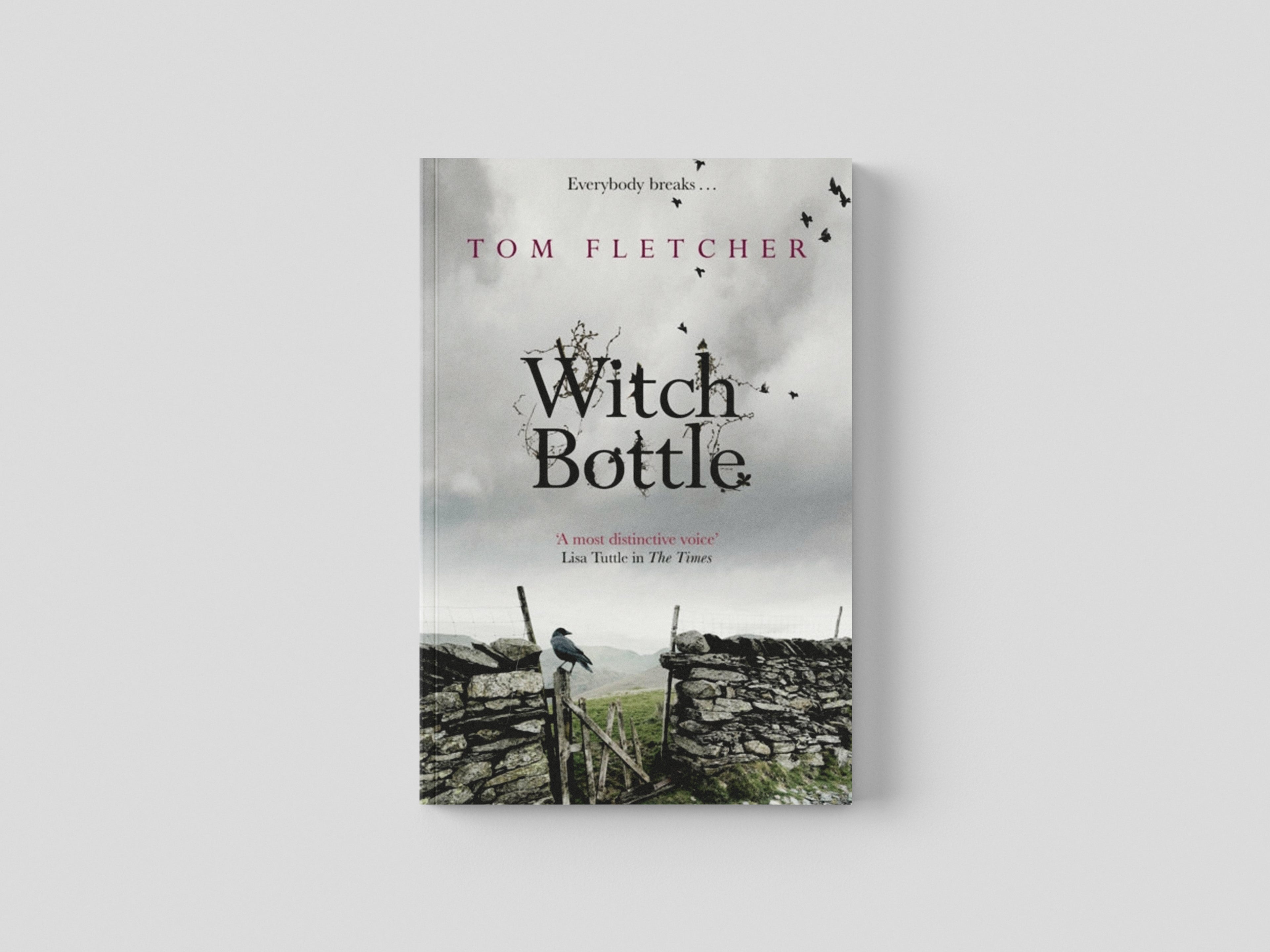 Witch Bottle by Tom Fletcher; 9781848662636