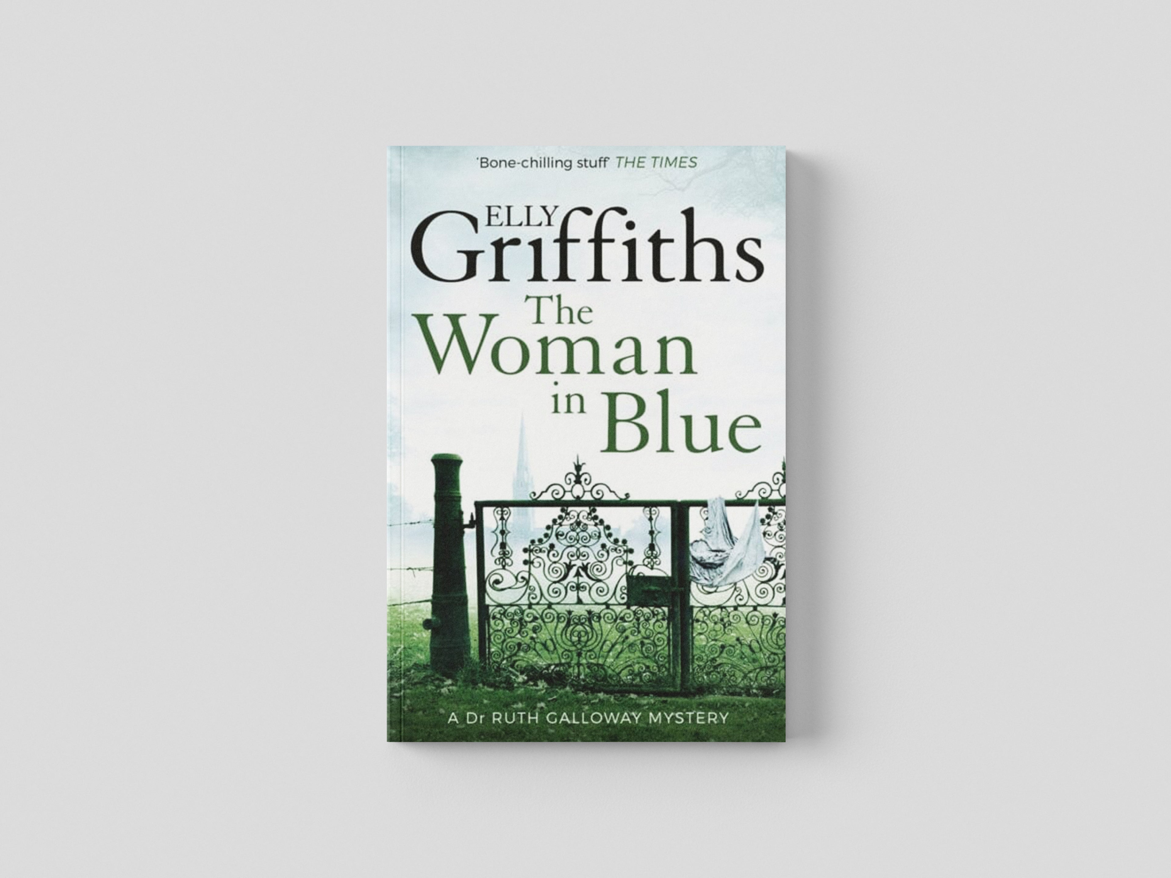 The Woman In Blue by Quercus Publishing; 9781848663374