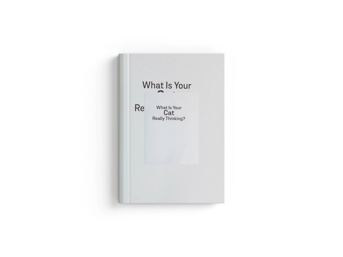 What Is Your Cat Really Thinking? by Sophie Johnson; 9781849539487