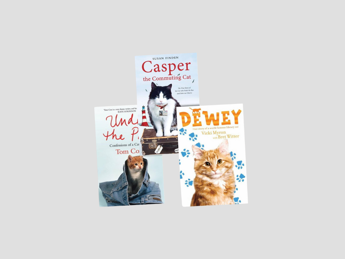 Cat Adventure Collection by Simon & Schuster; 9781849835916