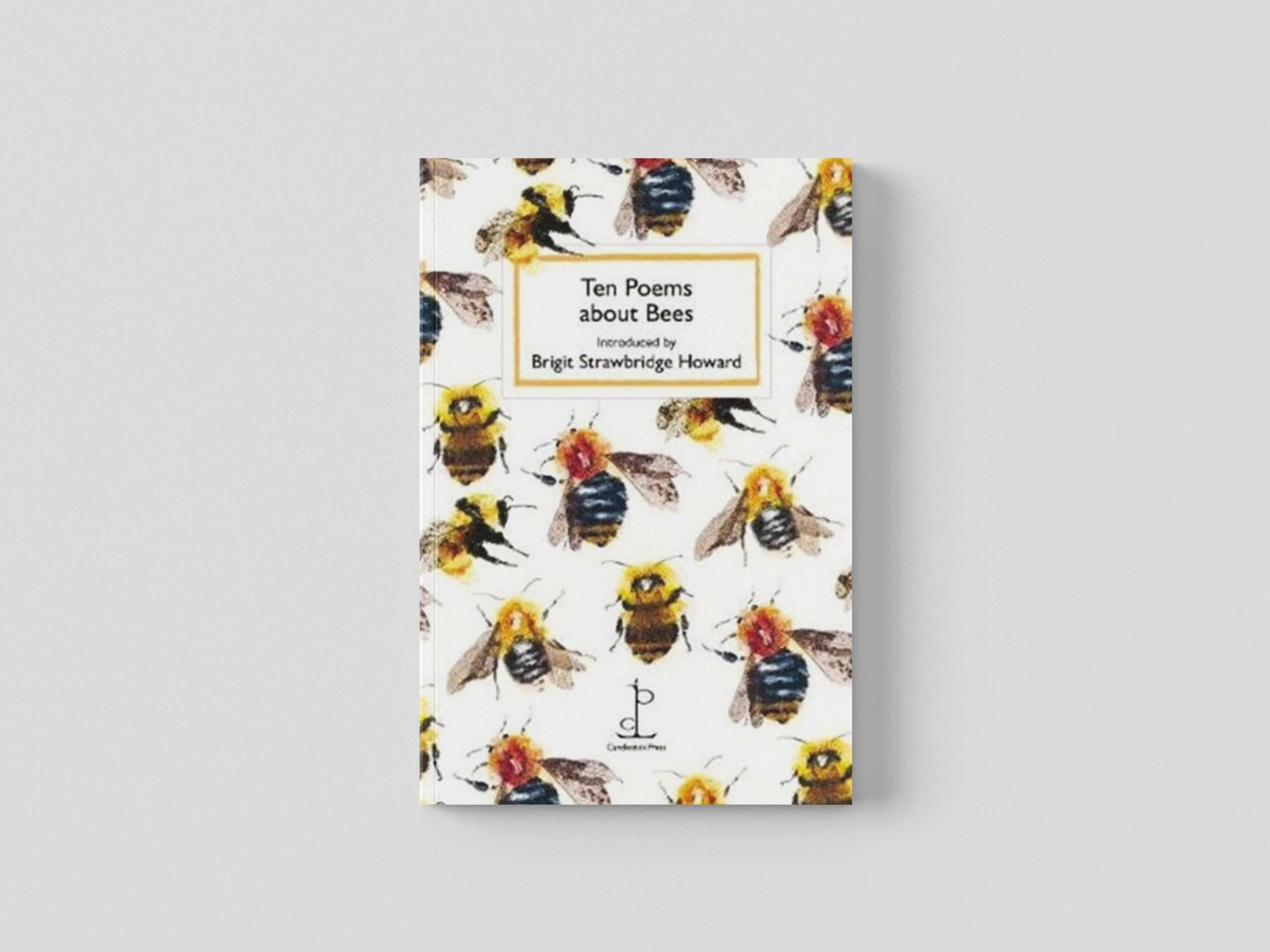 Ten Poems about Bees by Brigit Strawbridge Howard; 9781907598869