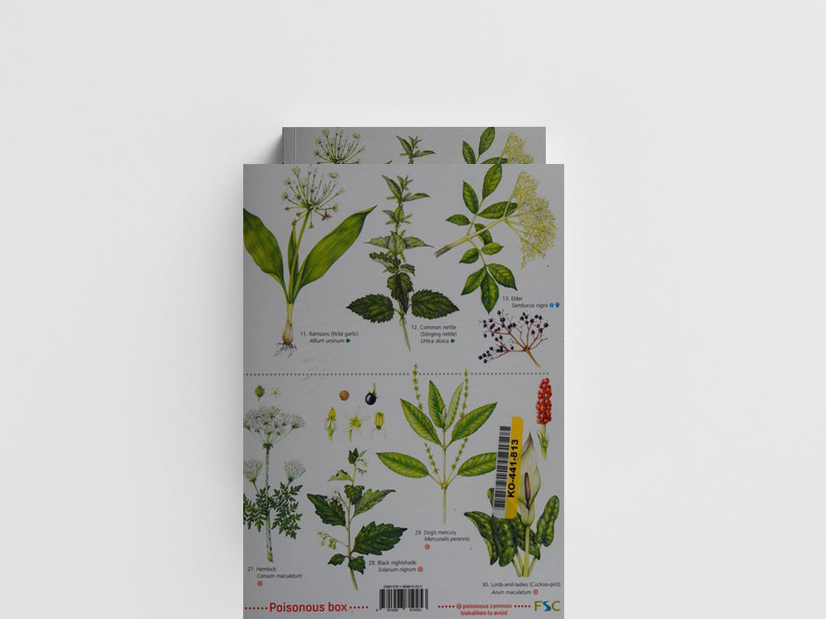 Guide to Foraging: Top 25 Edible Plants by Clare Cremona; 9781908819253