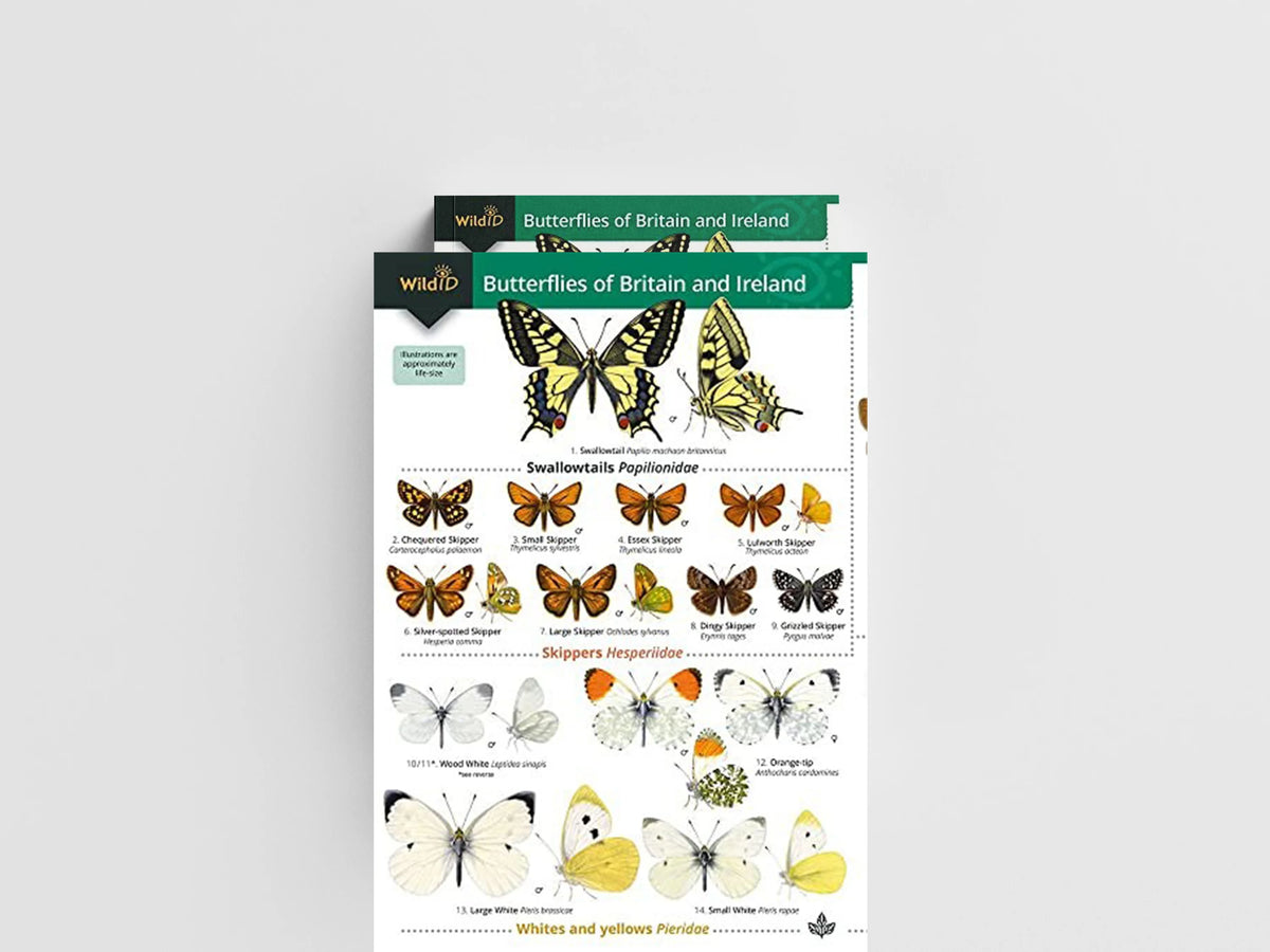 Guide to the butterflies of Britain and Ireland by John Bebbington; 9781908819451