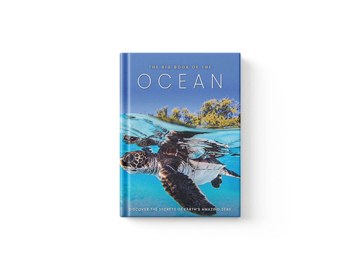 The Big Book of the Ocean by Sona Books; 9781912918782