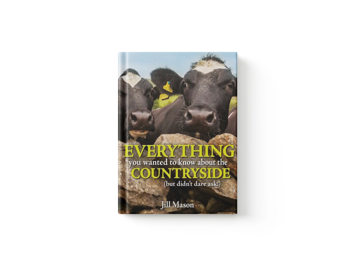 Everything you Wanted to Know about the Countryside by Jill Mason; 9781913159474