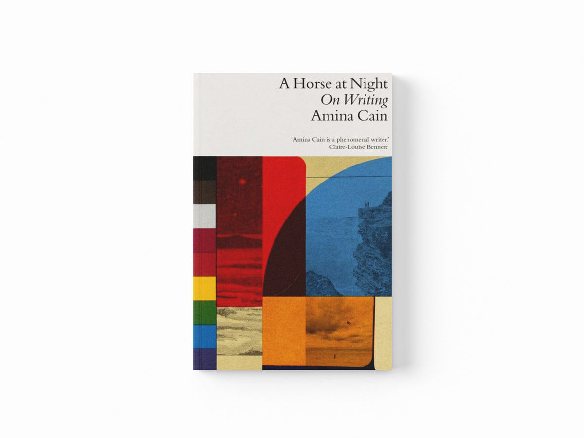 A Horse at Night : On Writing