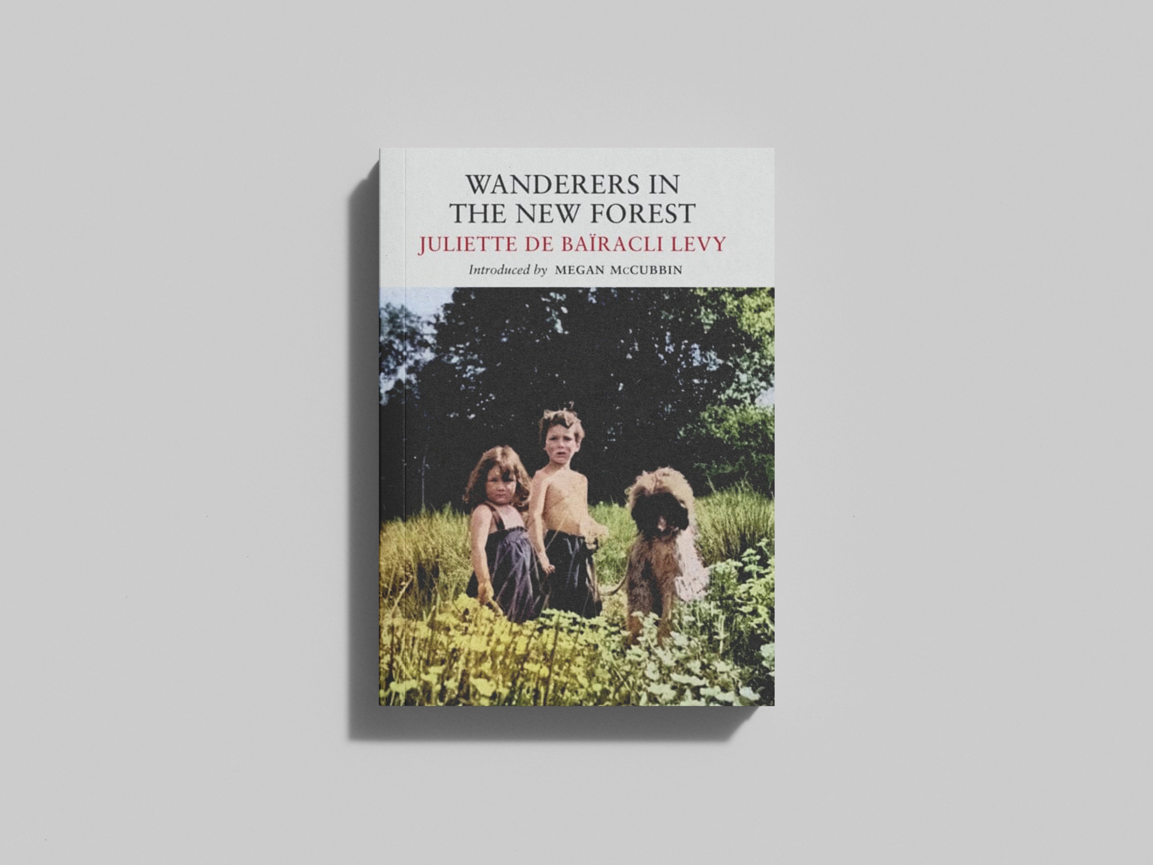 Wanderers in the New Forest by Juliette deBairacliLevy; 9781915068187