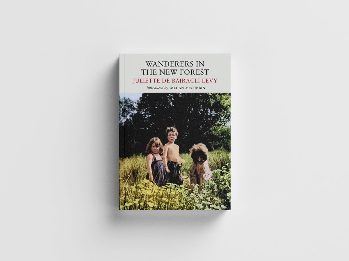 Wanderers in the New Forest