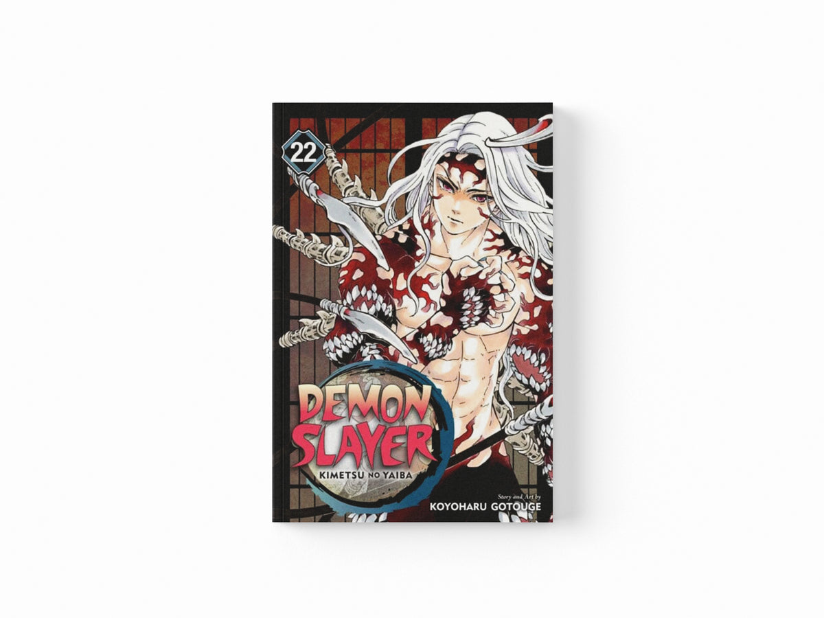 Demon Slayer: Kimetsu no Yaiba, Vol. 22