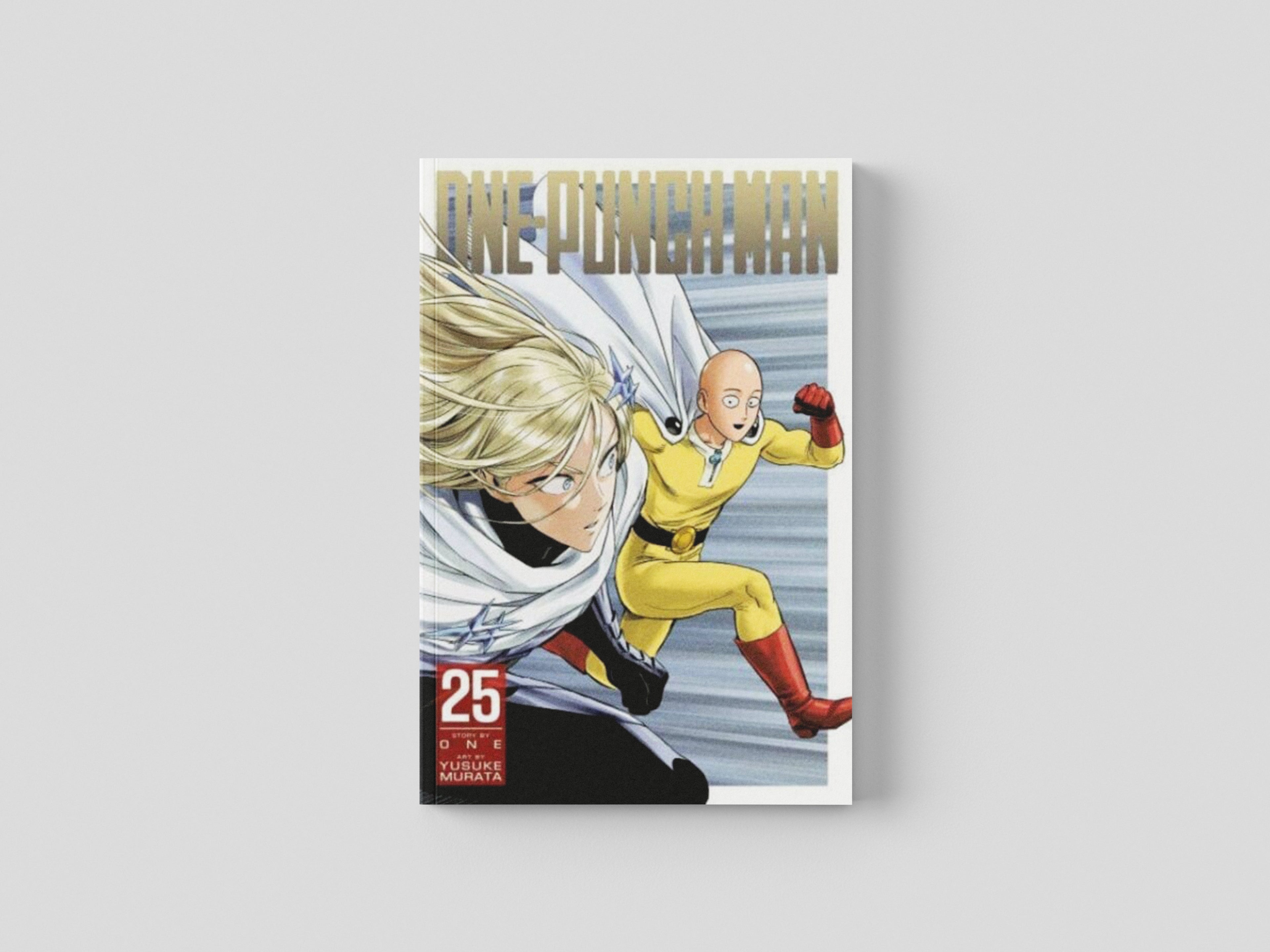 One-Punch Man, Vol. 25 by ONE; 9781974736669