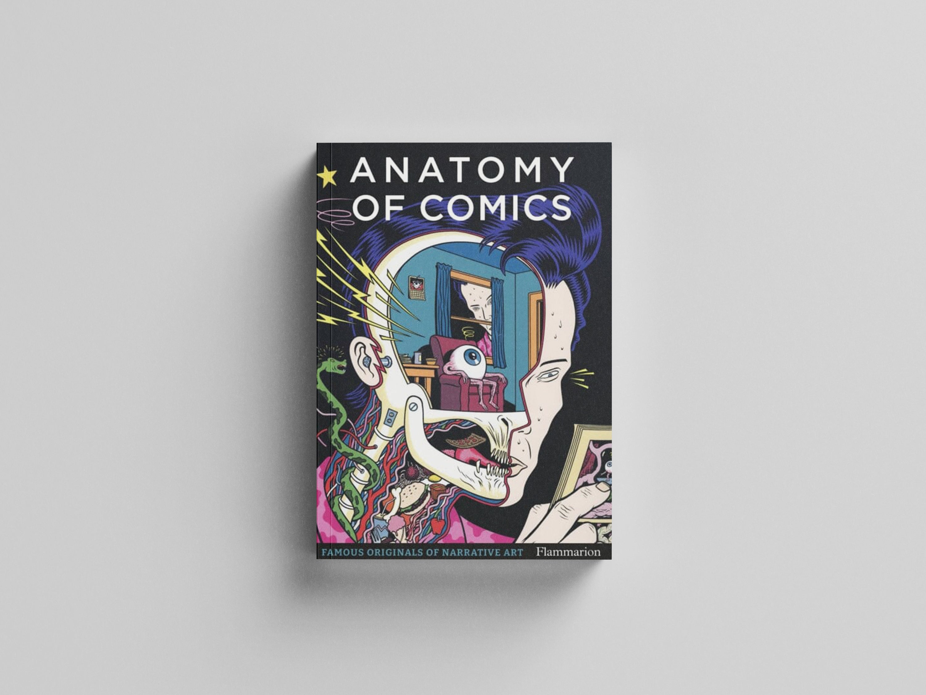 Anatomy of Comics by Damien MacDonald; 9782080281876