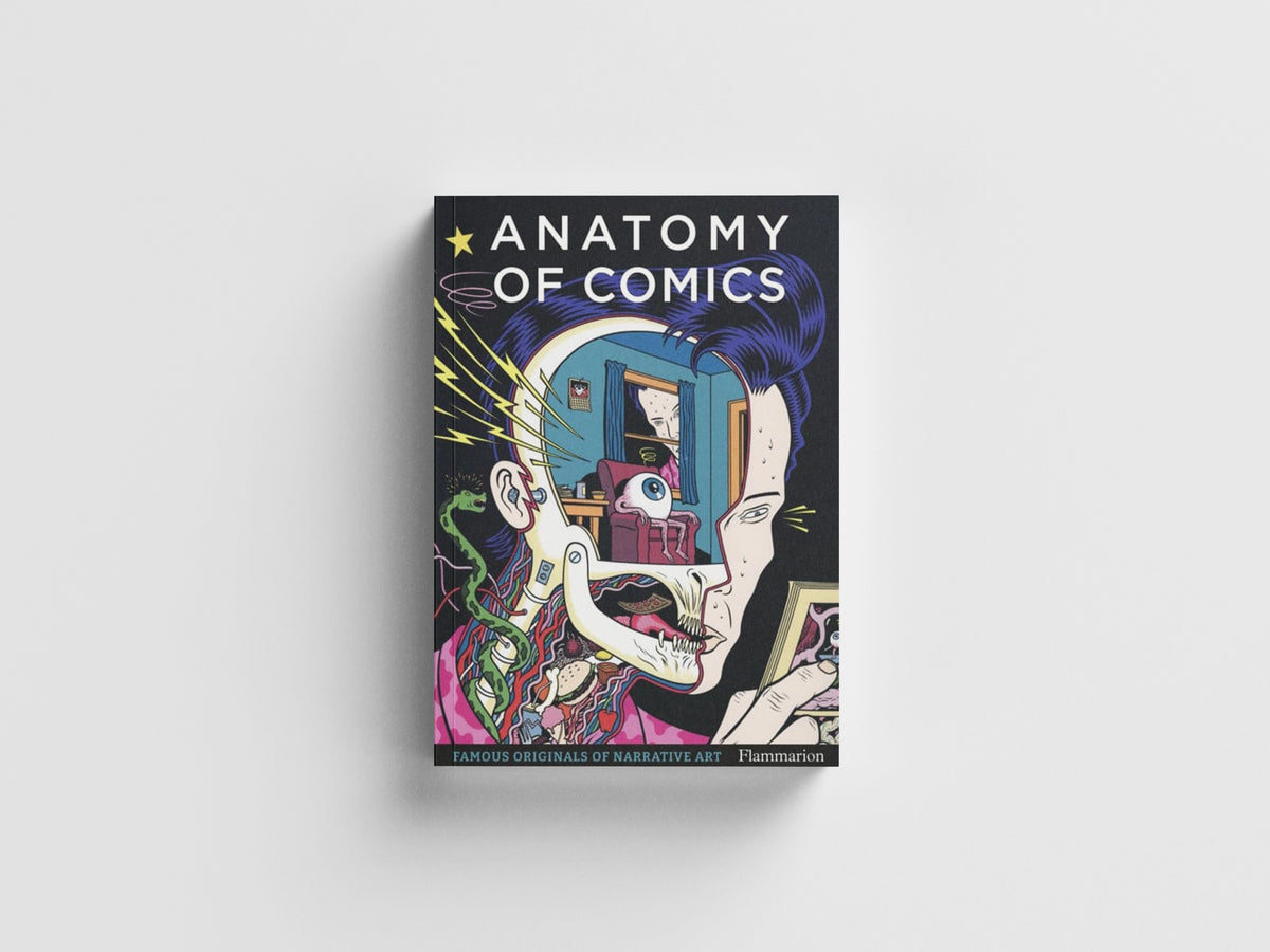 Anatomy of Comics
