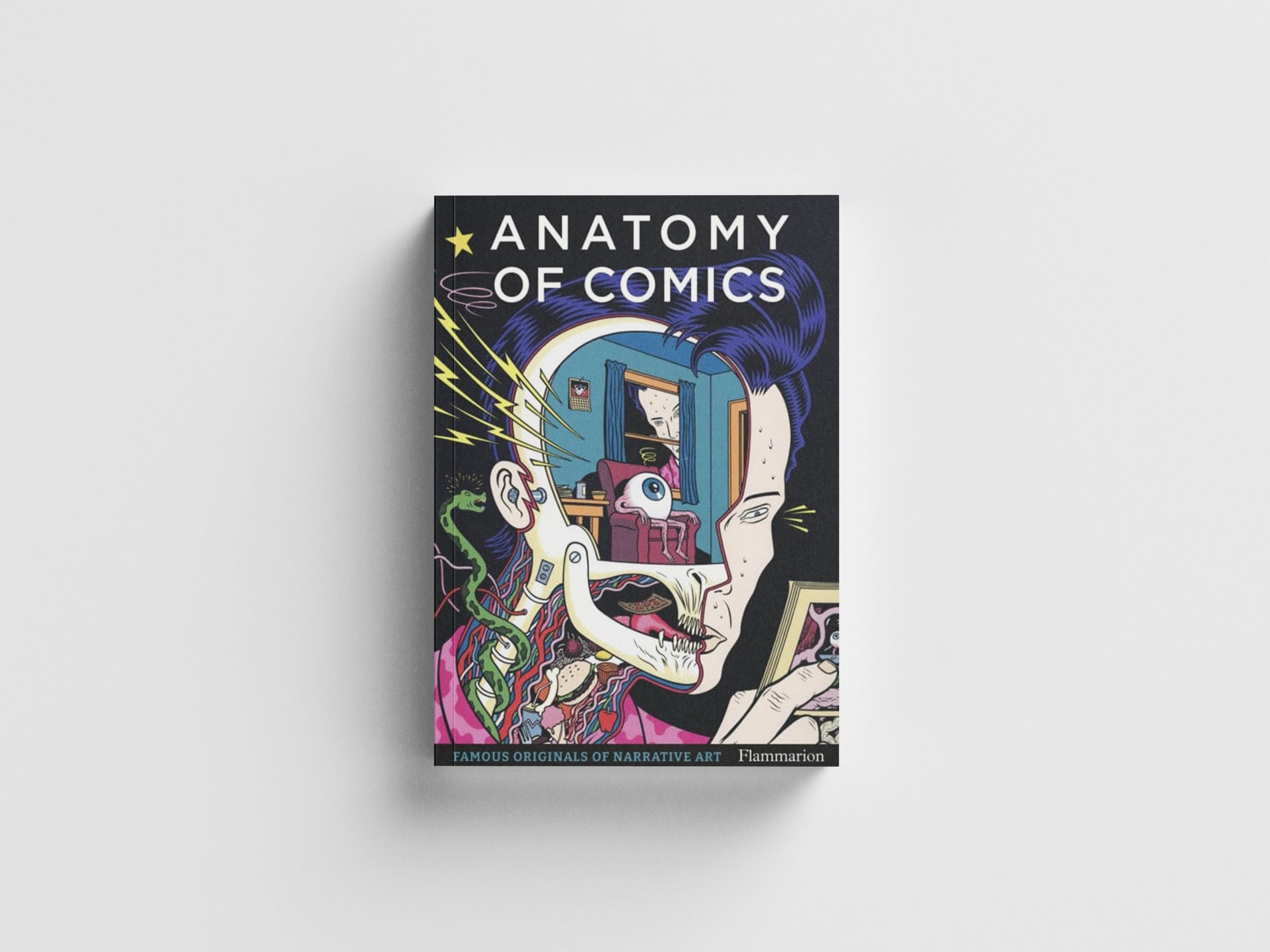 Anatomy of Comics