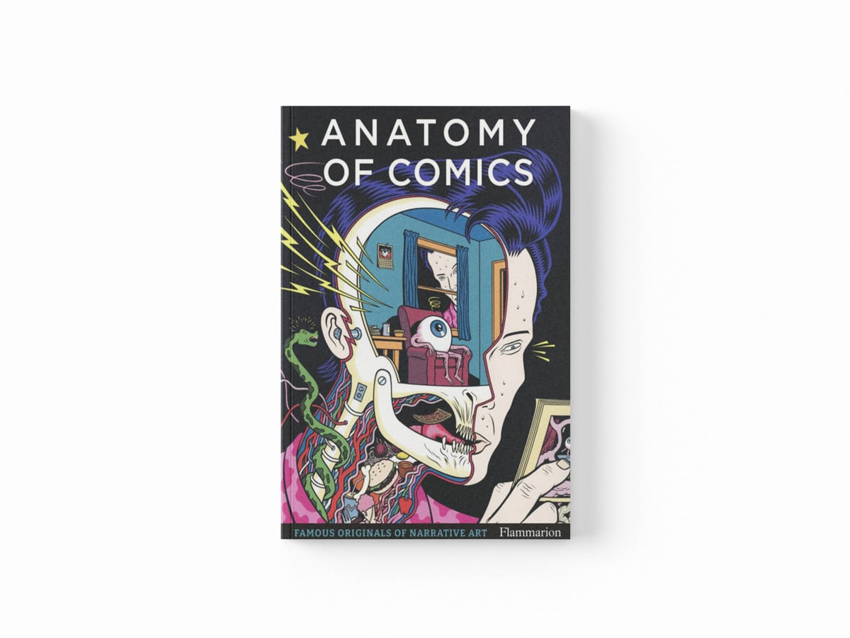 Anatomy of Comics