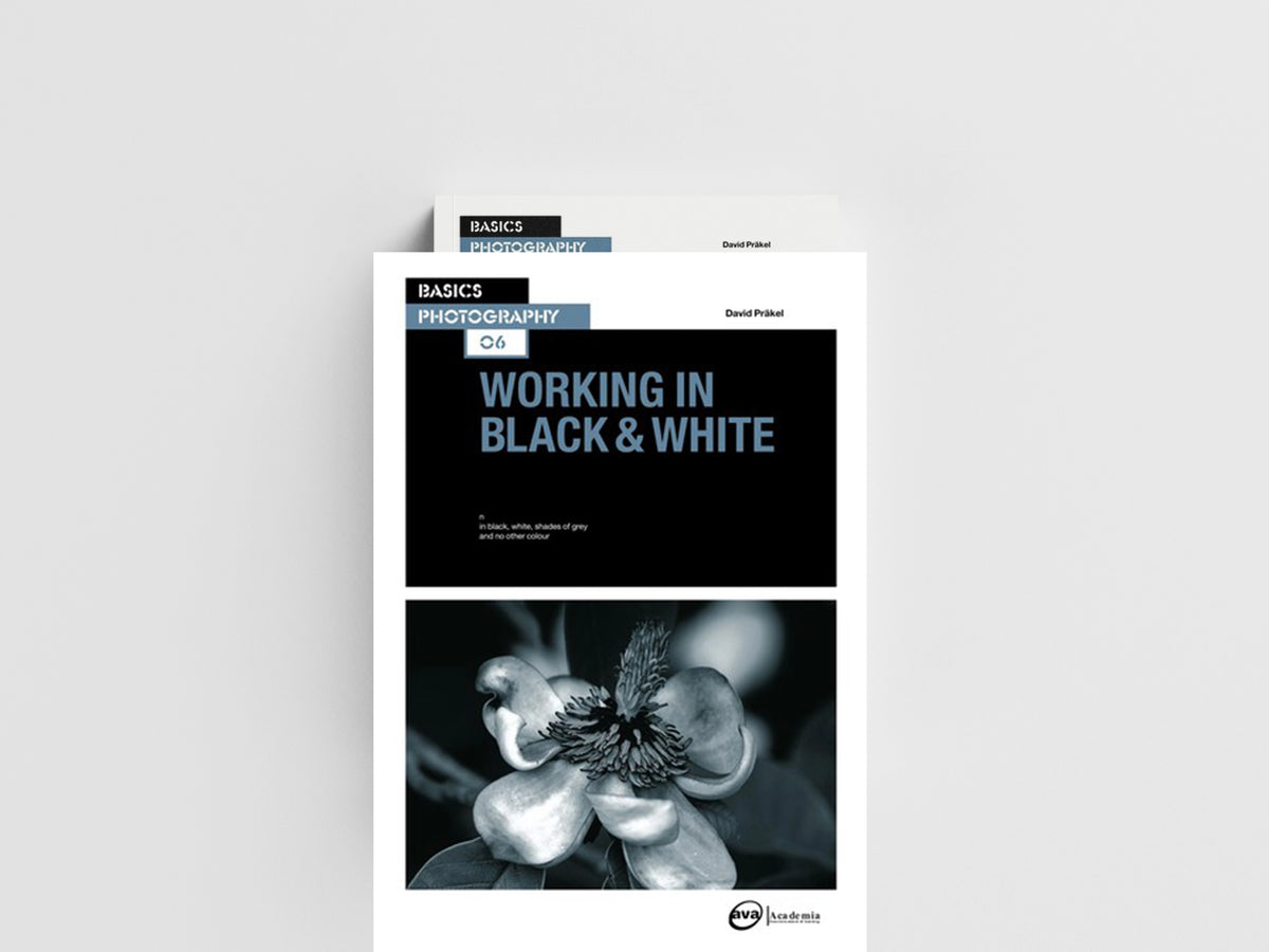 Working in Black & White by David Prakel; 9782940373857