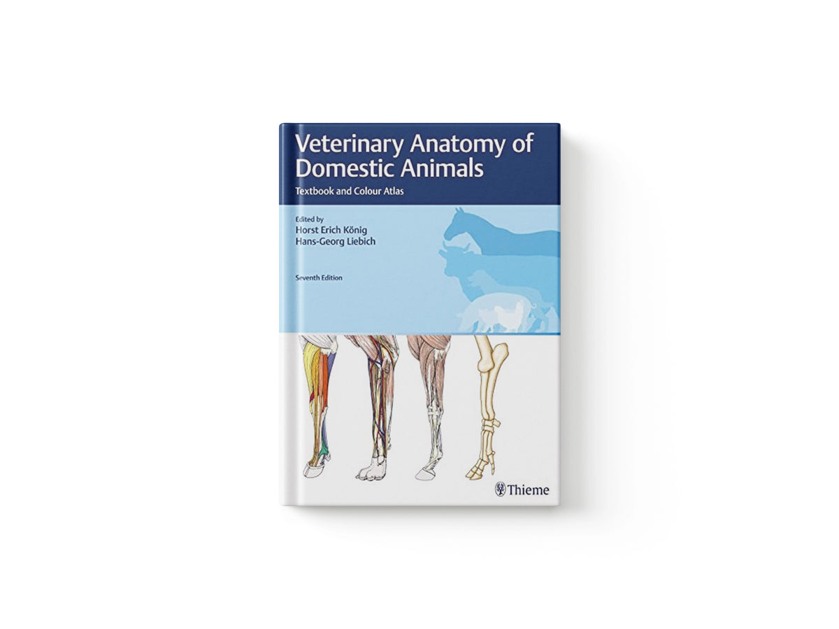 Veterinary Anatomy of Domestic Animals; 9783132429338