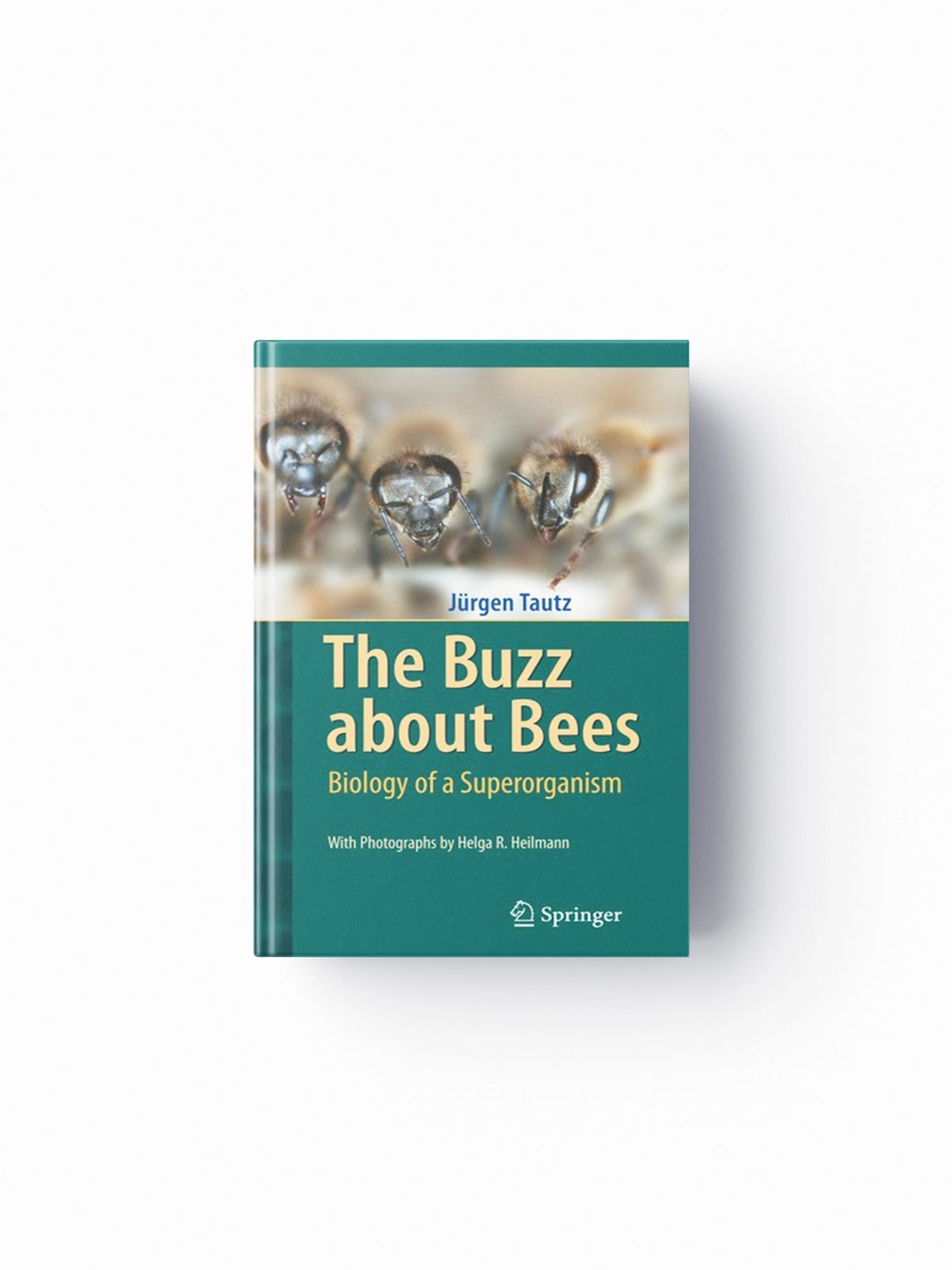 The Buzz about Bees by Jurgen Tautz; 9783540787273