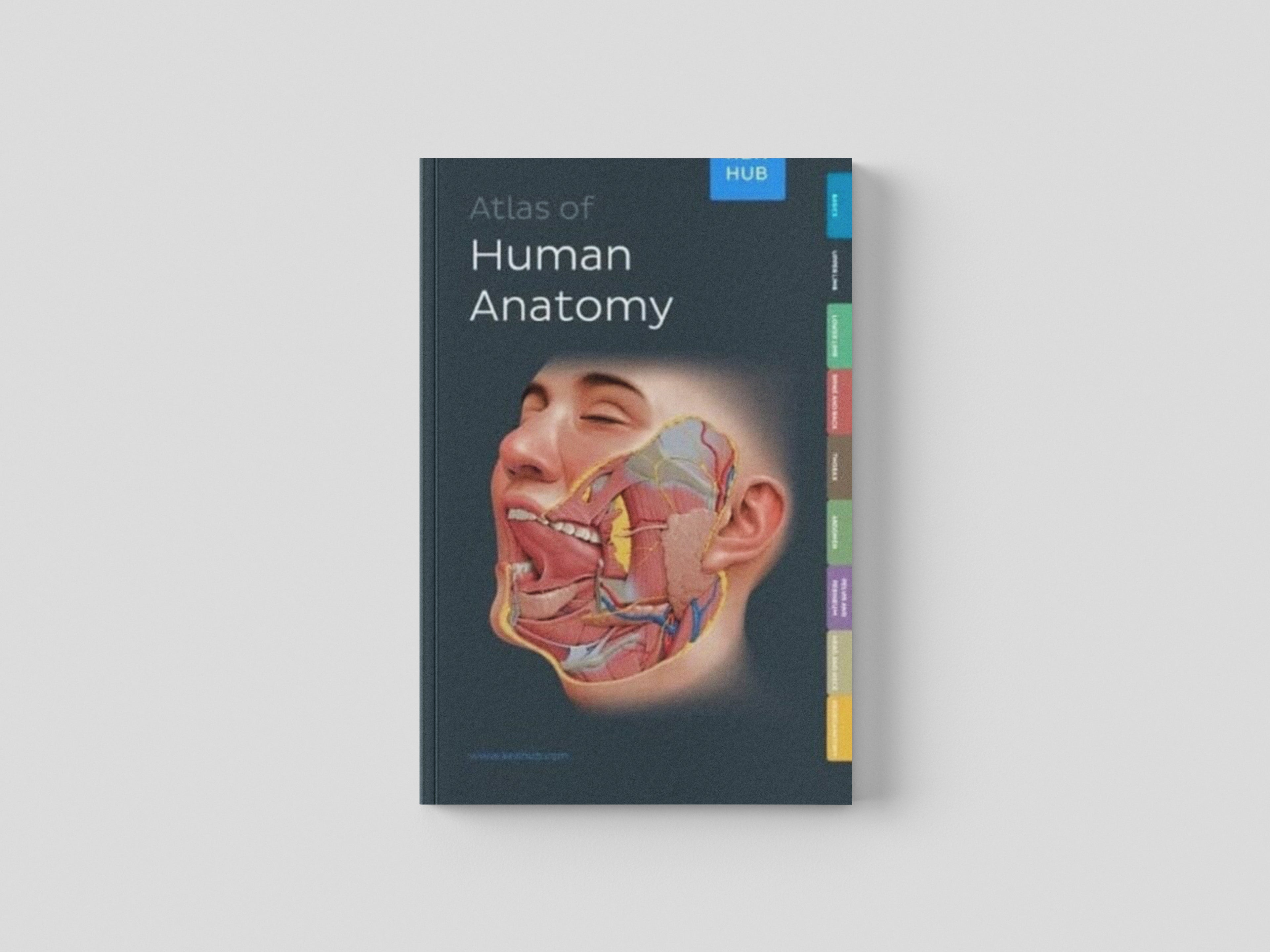 Atlas of Human Anatomy by Kenhub; 9783962983185