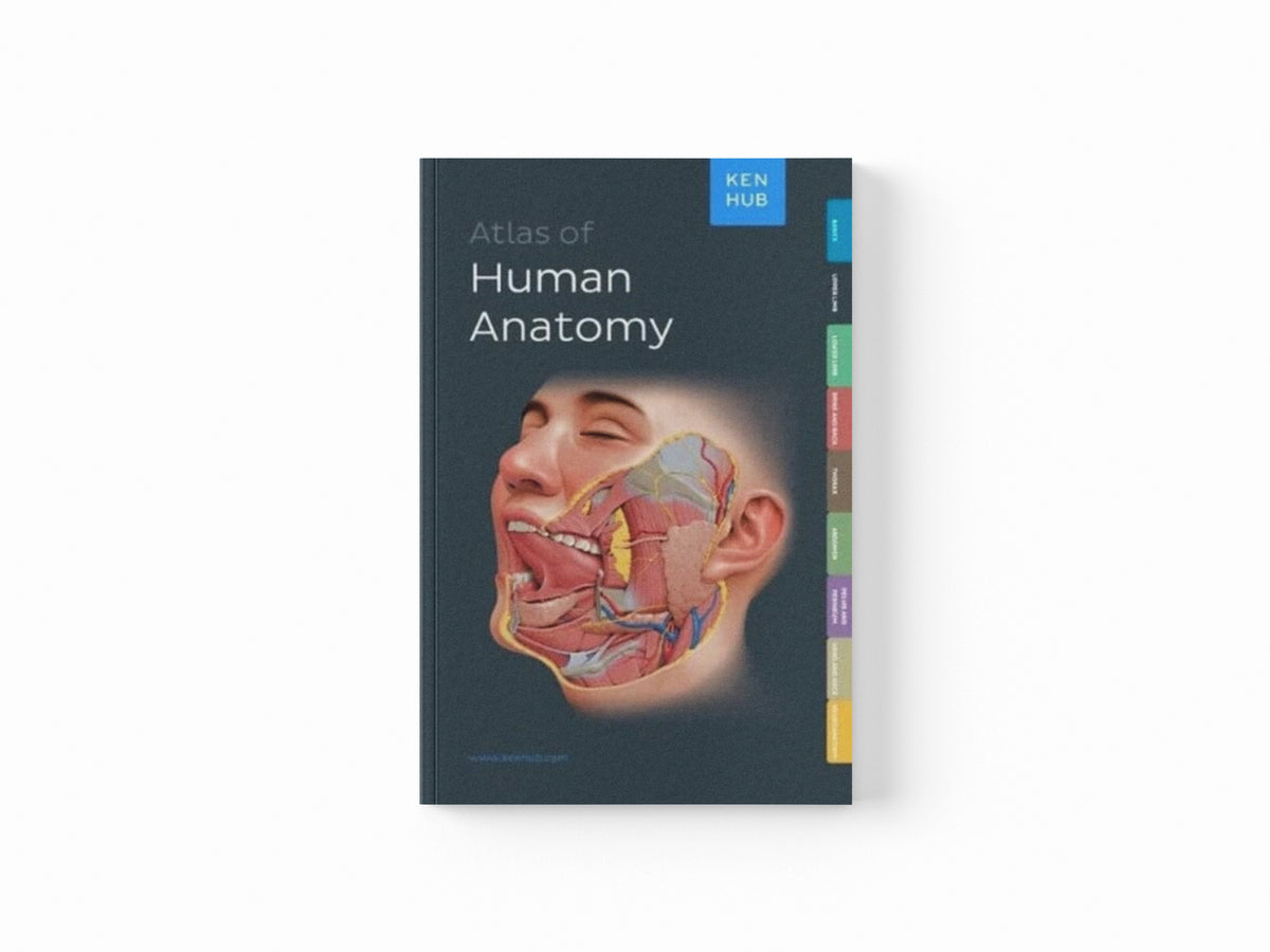 Atlas of Human Anatomy