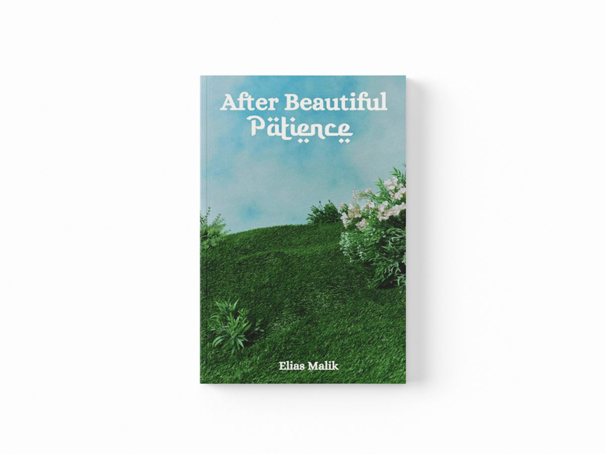 After Beautiful Patience by Elias Malik; 9798334704176