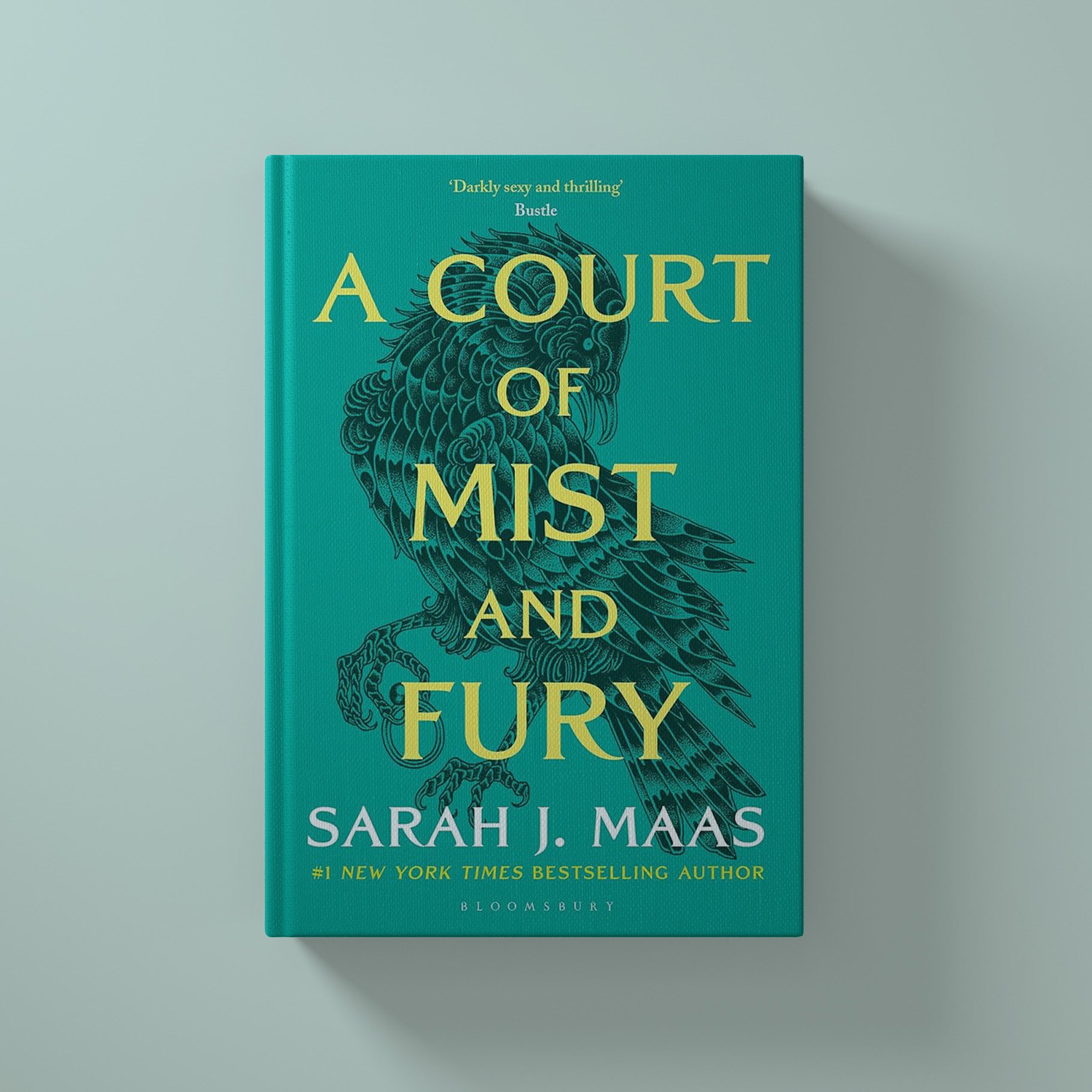 A Court of Mist and Fury by Sarah J. Maas; 9781526617163